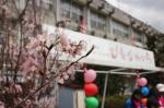 第2回 桜、手仕事、出会いの広場 ひとひらいち